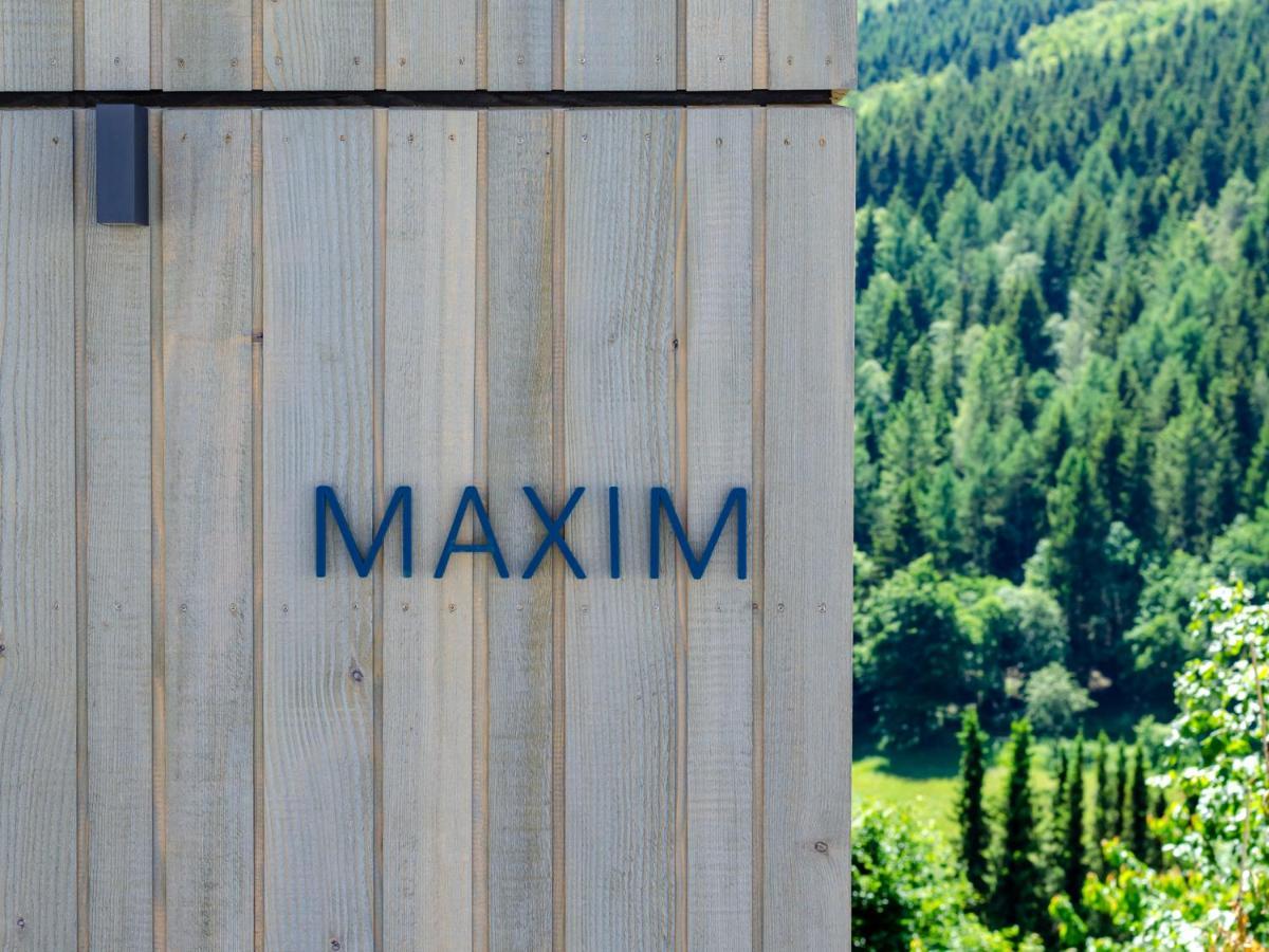 Sauerland Lodge - Haus Maxim Винтерберг Экстерьер фото